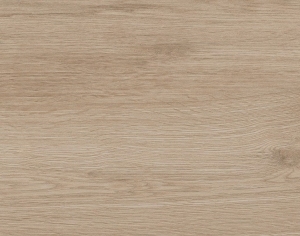 ModernWood Texture