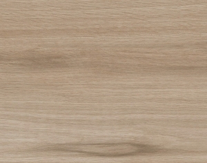 ModernWood Texture