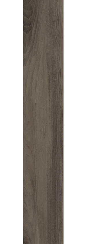 ModernWood Texture