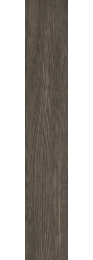 ModernWood Texture