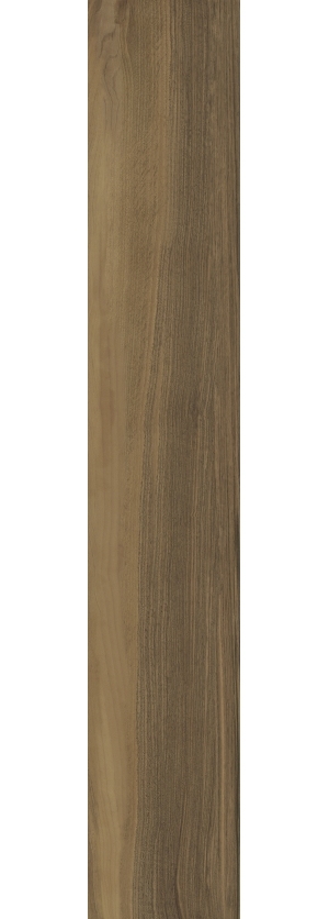 ModernWood Texture