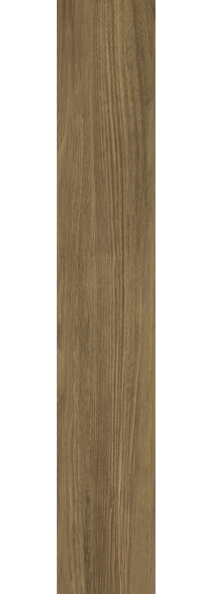 ModernWood Texture