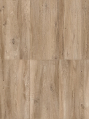 ModernWood Texture