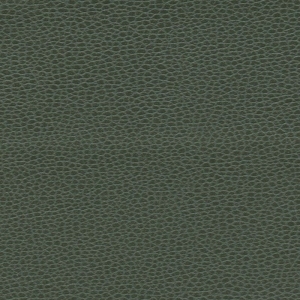 绿色沙发粗纹皮革-ID:5478126
