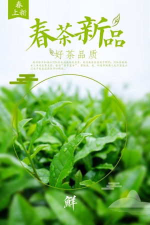 中国风古风茶叶茶具海报-ID:242598067