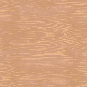 ModernWood Texture