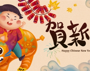 中国风新年除夕宣传海报背景-ID:455033063