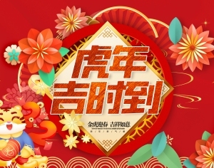 中国风国潮虎年海报-ID:5266390