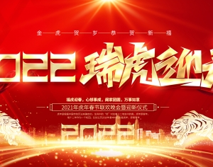 中国风国潮虎年海报-ID:121444946
