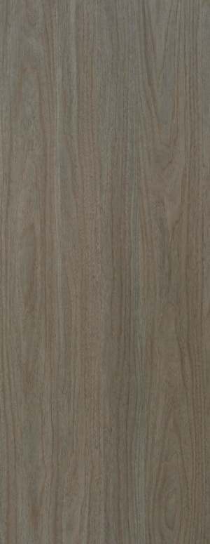 ModernWood Texture