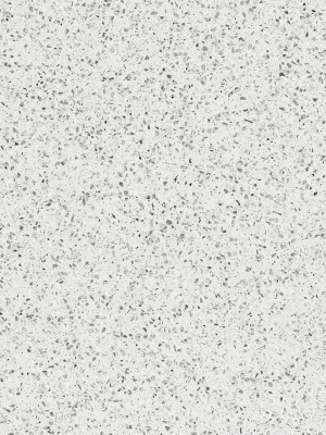 ModernTerrazzo