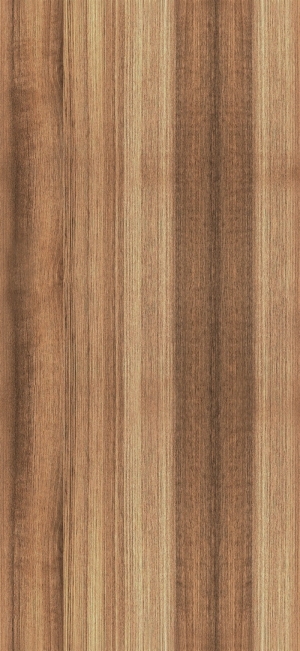 ModernWood Texture