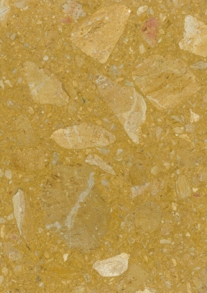 ModernTerrazzo