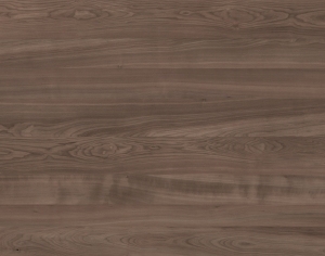 ModernWood Texture