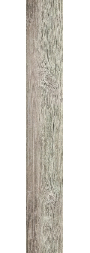 ModernWood Texture