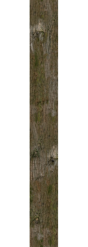 高清树皮贴图-ID:129532107