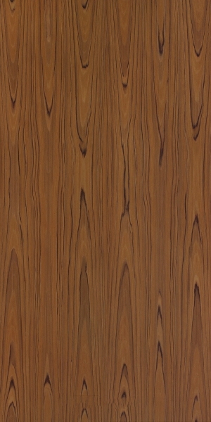 ModernWood Texture