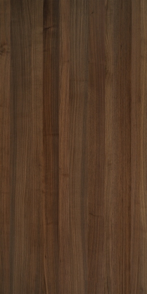 ModernWood Texture