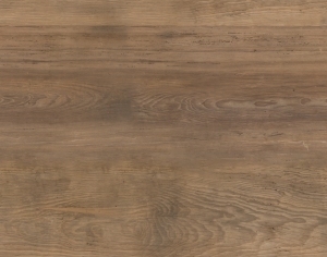 ModernOld Wood Texture