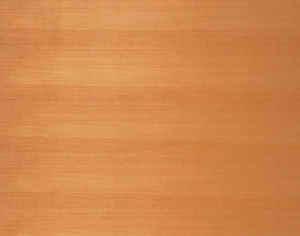 ModernWood Texture