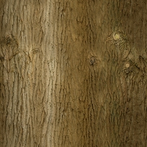 ModernBark Texture