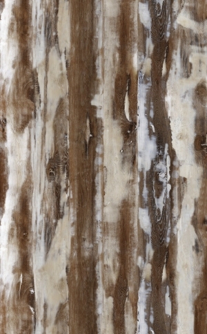 ModernOld Wood Texture