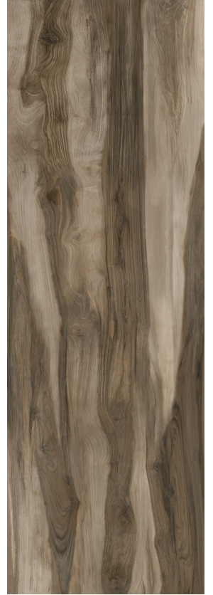 ModernWood Texture