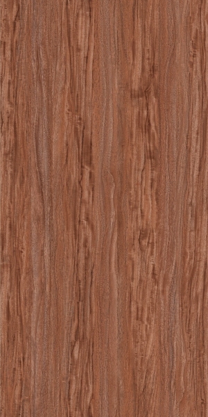 ModernOld Wood Texture