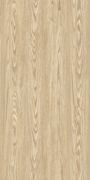 ModernWood Texture