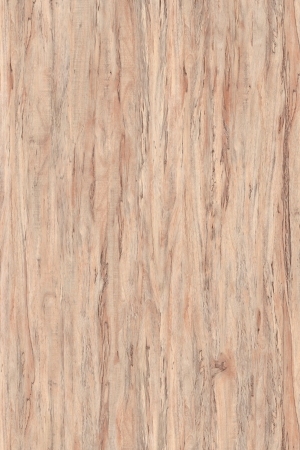 ModernOld Wood Texture