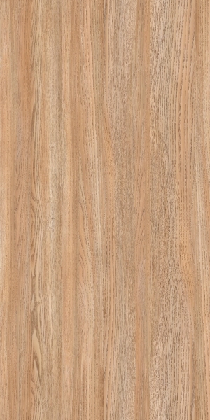 ModernOld Wood Texture