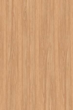 ModernWood Texture