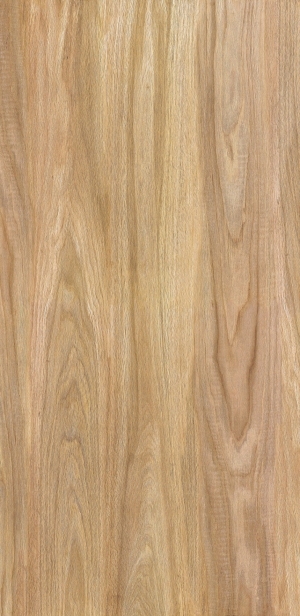 ModernOld Wood Texture