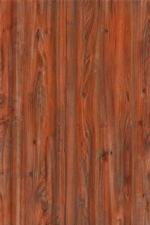 ModernOld Wood Texture