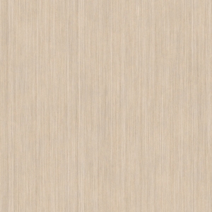 ModernWood Texture