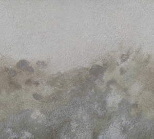 微水泥-ID:769257076
