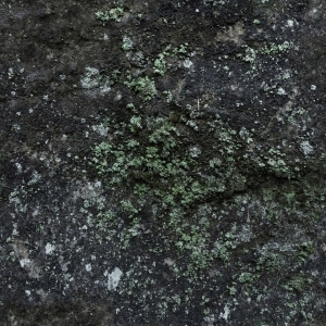 ModernOther Stone Textures