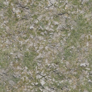 高清无缝草地-ID:907258035