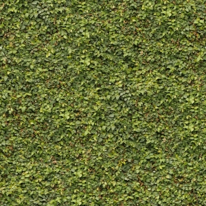 高清无缝草地-ID:665700485