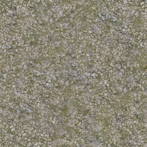 高清无缝草地-ID:554208996