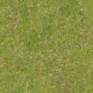 高清无缝草地-ID:602175001