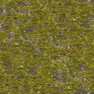高清无缝草地-ID:674263002