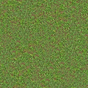 高清无缝草地-ID:227045061