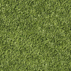 ModernGrass