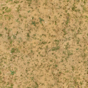 高清无缝草地泥土-ID:204659946