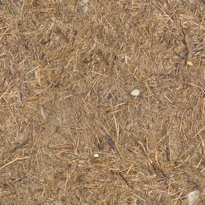 高清无缝落叶草地泥土-ID:382510905
