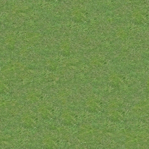 高清无缝草地泥土-ID:5359777