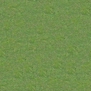 ModernGrass