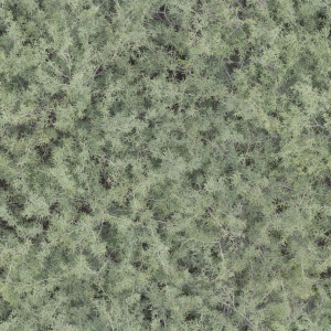 高清无缝草地-ID:949657928