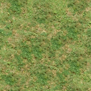 ModernGrass